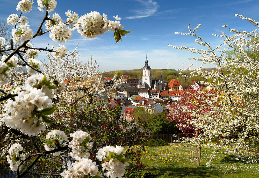 Stadt Meerane